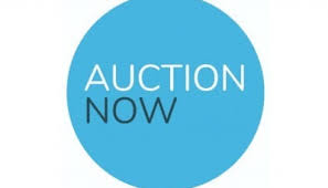 Auction Now